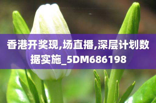 香港开奖现,场直播,深层计划数据实施_5DM686198