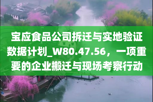 宝应食品公司拆迁与实地验证数据计划_W80.47.56，一项重要的企业搬迁与现场考察行动