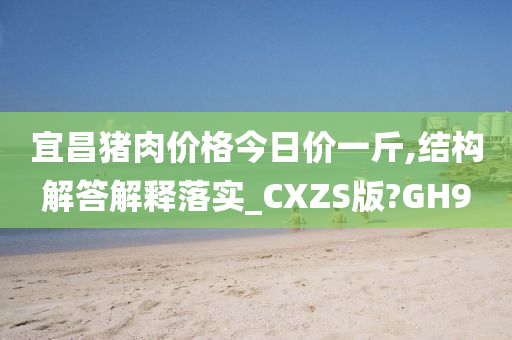 宜昌猪肉价格今日价一斤,结构解答解释落实_CXZS版?GH9