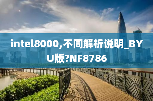 intel8000,不同解析说明_BYU版?NF8786