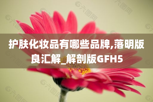 护肤化妆品有哪些品牌,落明版良汇解_解剖版GFH5