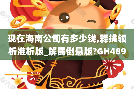 现在海南公司有多少钱,释挑领析准析版_解民倒悬版?GH489