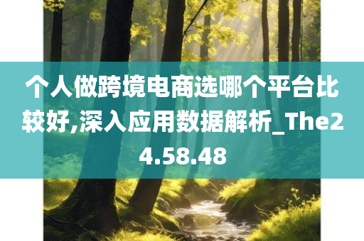 个人做跨境电商选哪个平台比较好,深入应用数据解析_The24.58.48