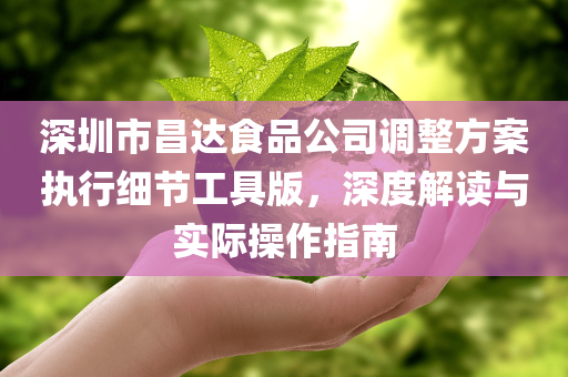 深圳市昌达食品公司调整方案执行细节工具版，深度解读与实际操作指南