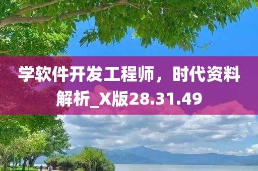 学软件开发工程师，时代资料解析_X版28.31.49