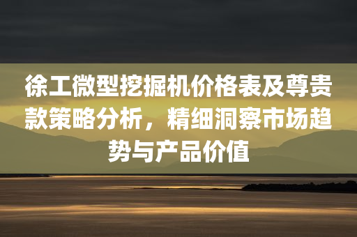 徐工微型挖掘机价格表及尊贵款策略分析，精细洞察市场趋势与产品价值