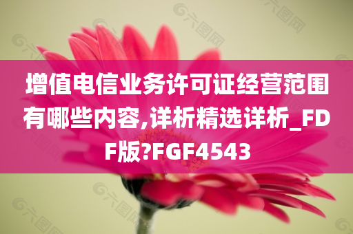 增值电信业务许可证经营范围有哪些内容,详析精选详析_FDF版?FGF4543