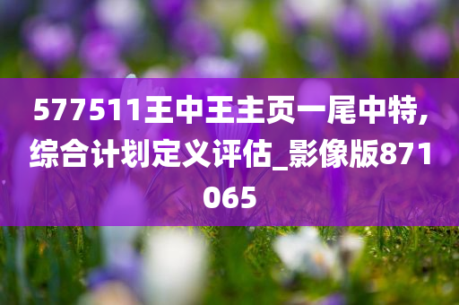 577511王中王主页一尾中特,综合计划定义评估_影像版871065