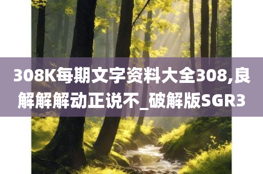 308K每期文字资料大全308,良解解解动正说不_破解版SGR3