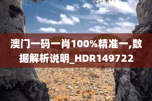 澳门一码一肖100%精准一,数据解析说明_HDR149722