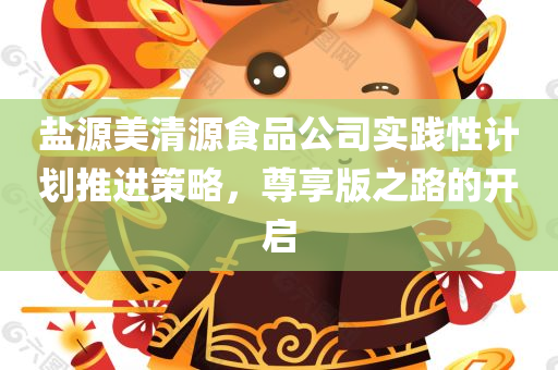 盐源美清源食品公司实践性计划推进策略，尊享版之路的开启