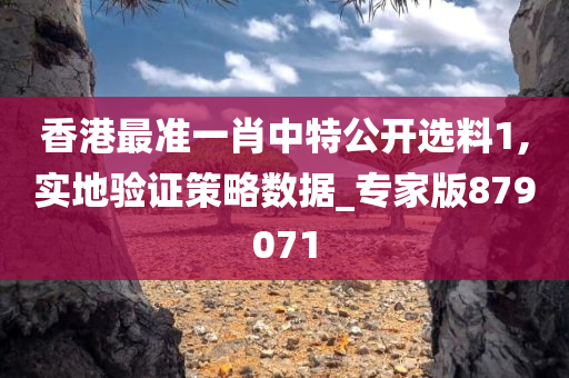 香港最准一肖中特公开选料1,实地验证策略数据_专家版879071