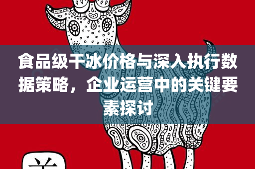 食品级干冰价格与深入执行数据策略，企业运营中的关键要素探讨