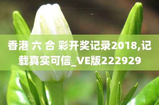 香港 六 合 彩开奖记录2018,记载真实可信_VE版222929