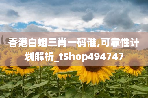 香港白姐三肖一码淮,可靠性计划解析_tShop494747