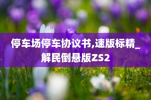 停车场停车协议书,速版标精_解民倒悬版ZS2