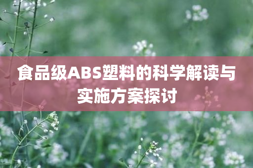 食品级ABS塑料的科学解读与实施方案探讨