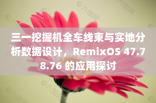 三一挖掘机全车线束与实地分析数据设计，RemixOS 47.78.76 的应用探讨