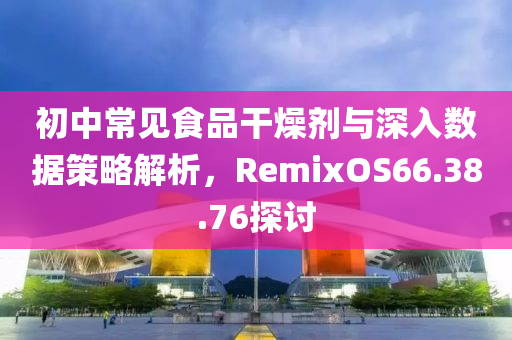 初中常见食品干燥剂与深入数据策略解析，RemixOS66.38.76探讨