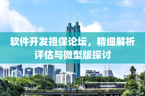 软件开发担保论坛，精细解析评估与微型版探讨