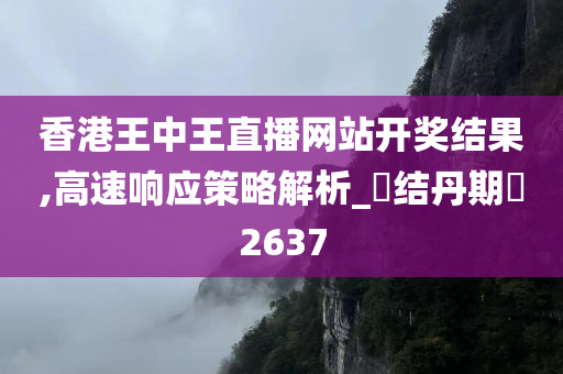 香港王中王直播网站开奖结果,高速响应策略解析_‌结丹期‌2637