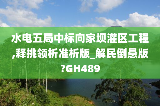 水电五局中标向家坝灌区工程,释挑领析准析版_解民倒悬版?GH489