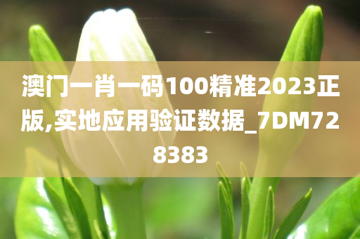 澳门一肖一码100精准2023正版,实地应用验证数据_7DM728383