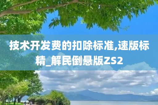 技术开发费的扣除标准,速版标精_解民倒悬版ZS2