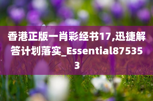 香港正版一肖彩经书17,迅捷解答计划落实_Essential875353