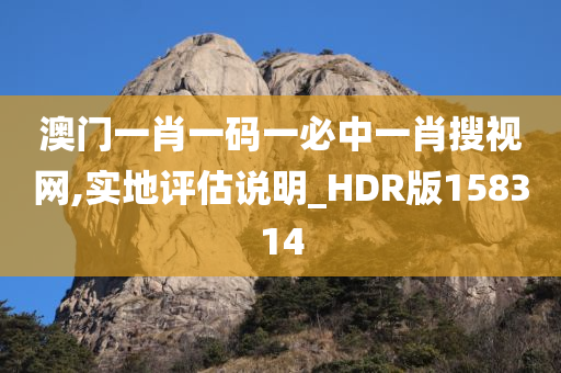 澳门一肖一码一必中一肖搜视网,实地评估说明_HDR版158314