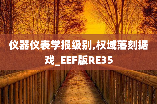 仪器仪表学报级别,权域落刻据戏_EEF版RE35