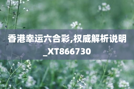 香港幸运六合彩,权威解析说明_XT866730