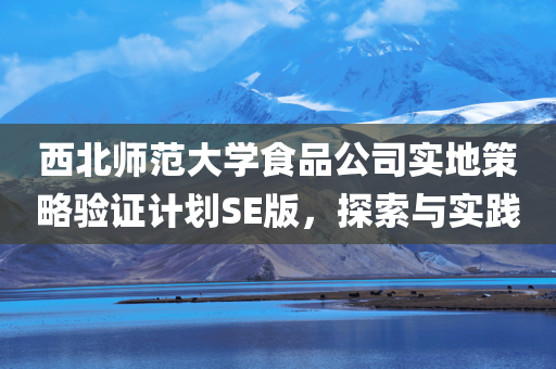 西北师范大学食品公司实地策略验证计划SE版，探索与实践