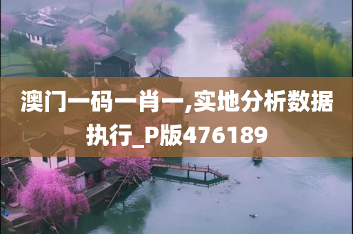 澳门一码一肖一,实地分析数据执行_P版476189