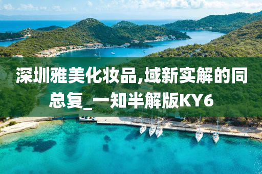 深圳雅美化妆品,域新实解的同总复_一知半解版KY6