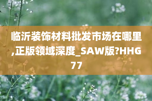 临沂装饰材料批发市场在哪里,正版领域深度_SAW版?HHG77