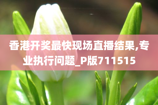 香港开奖最快现场直播结果,专业执行问题_P版711515