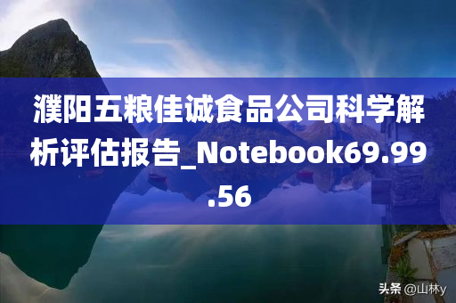 濮阳五粮佳诚食品公司科学解析评估报告_Notebook69.99.56