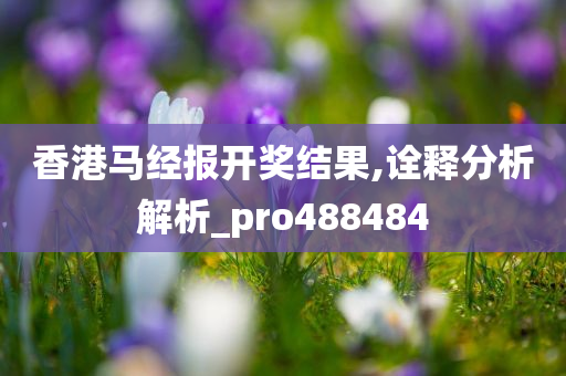 香港马经报开奖结果,诠释分析解析_pro488484