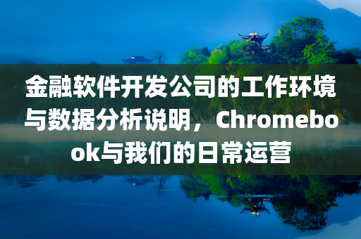 金融软件开发公司的工作环境与数据分析说明，Chromebook与我们的日常运营