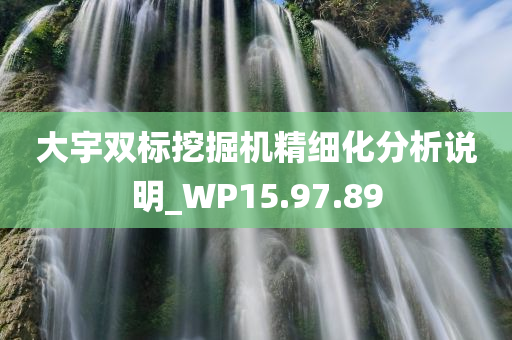 大宇双标挖掘机精细化分析说明_WP15.97.89