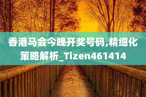 香港马会今晚开奖号码,精细化策略解析_Tizen461414