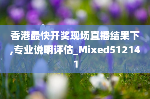 香港最快开奖现场直播结果下,专业说明评估_Mixed512141