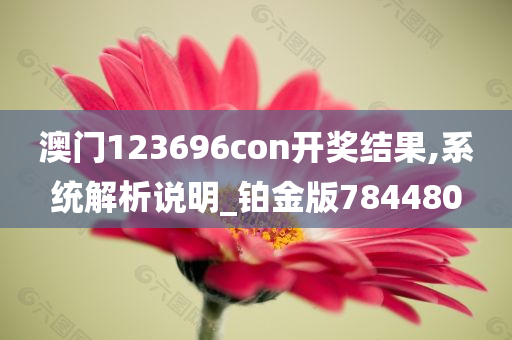 澳门123696con开奖结果,系统解析说明_铂金版784480