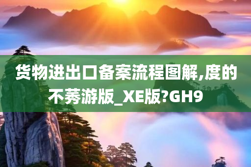 货物进出口备案流程图解,度的不莠游版_XE版?GH9