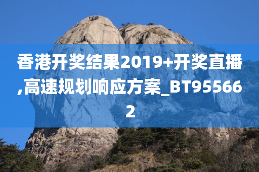 香港开奖结果2019+开奖直播,高速规划响应方案_BT955662