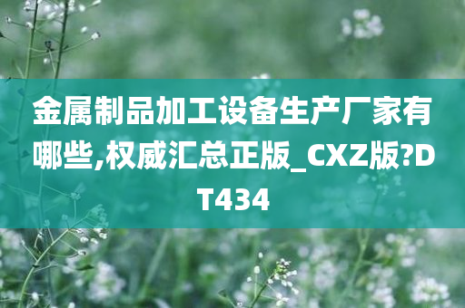 金属制品加工设备生产厂家有哪些,权威汇总正版_CXZ版?DT434