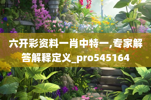 六开彩资料一肖中特一,专家解答解释定义_pro545164