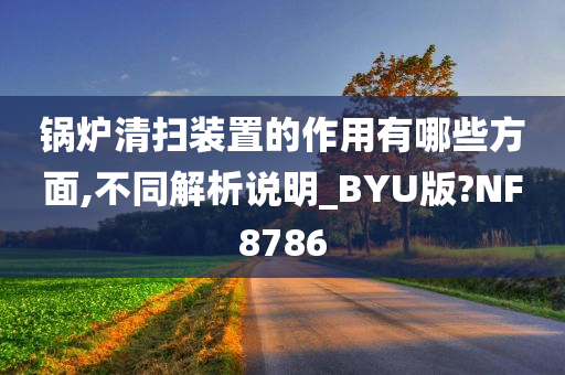 锅炉清扫装置的作用有哪些方面,不同解析说明_BYU版?NF8786