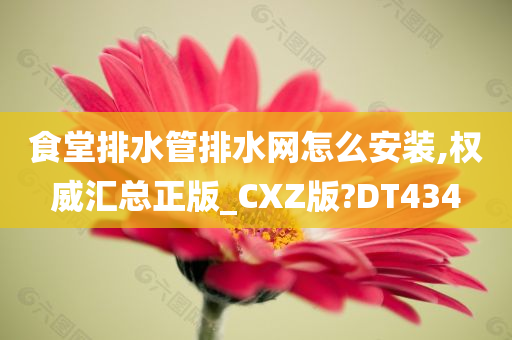 食堂排水管排水网怎么安装,权威汇总正版_CXZ版?DT434